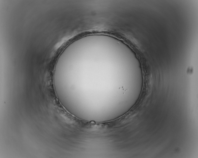 X0000112861160200909041546