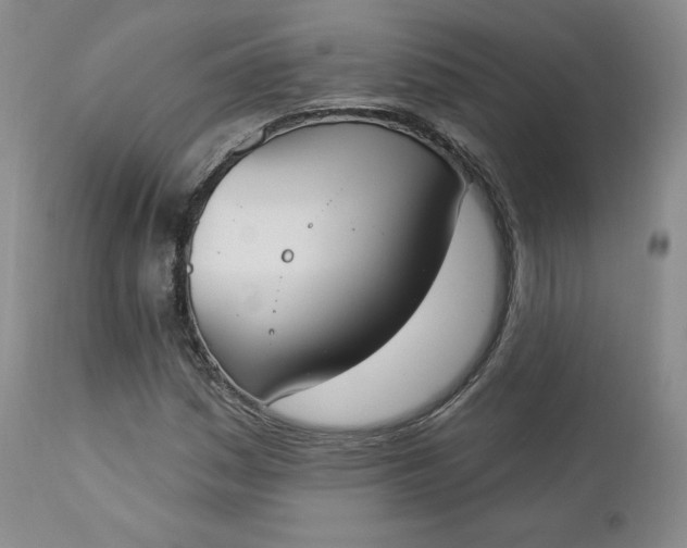 X0000112861161200909041546