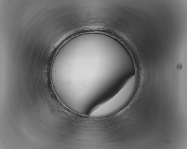 X0000112861162200909041546