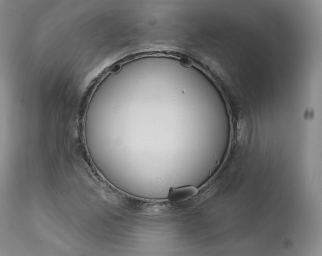 X0000112861165200909041546