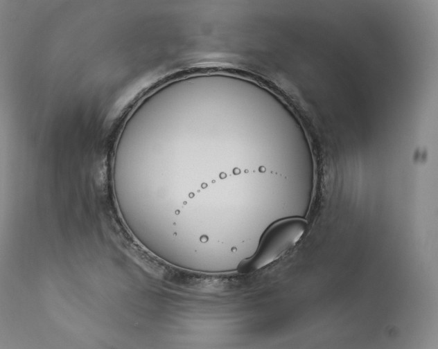 X0000112861167200909041546