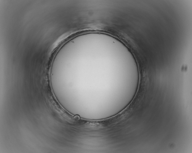 X0000112861168200909041546