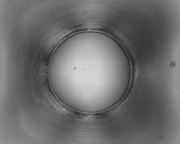 X0000112861169200909041546