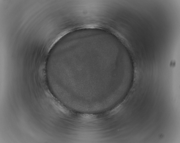 X0000112861170200909041546