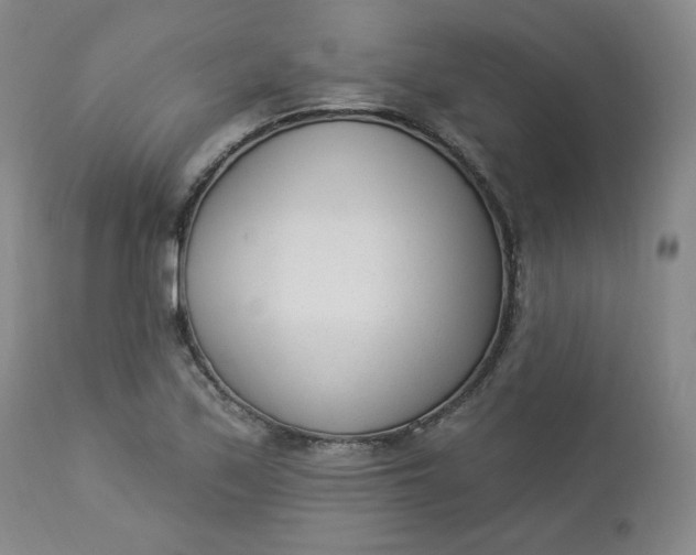 X0000112861171200909041546