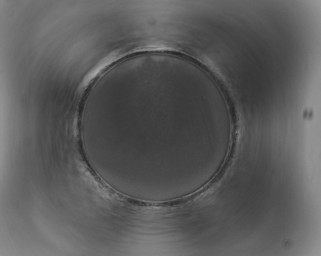 X0000112861173200909041546