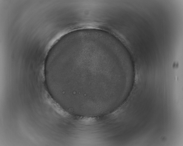 X0000112861174200909041546
