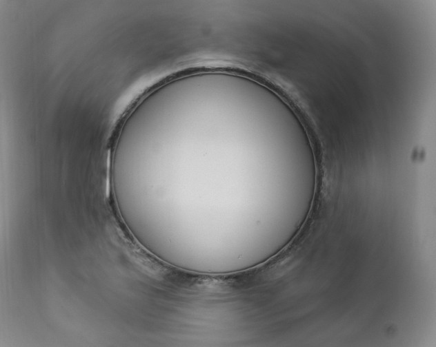 X0000112861175200909041546
