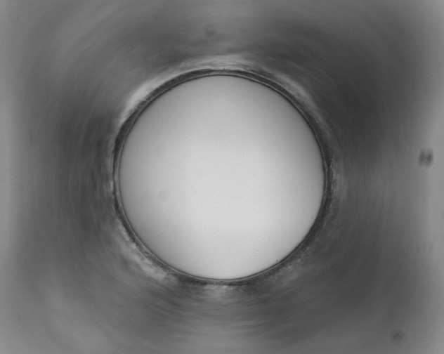 X0000112861176200909041546