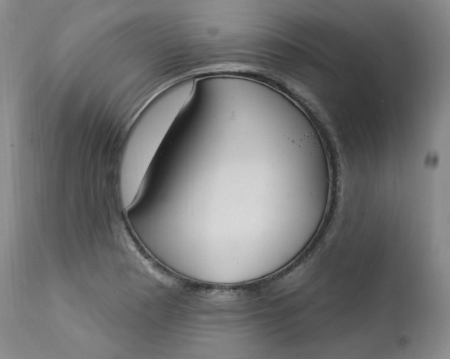 X0000112861177200909041546
