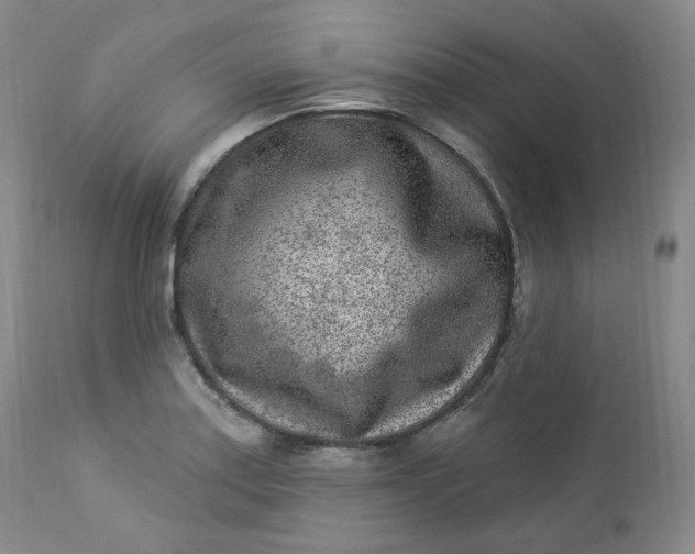 X0000112861179200909041546