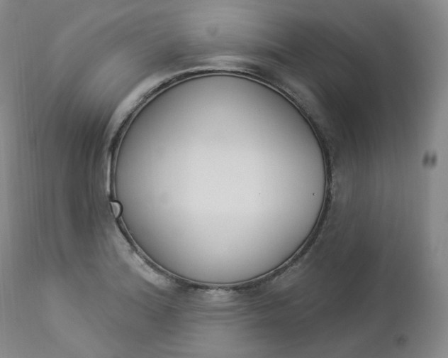 X0000112861180200909041546