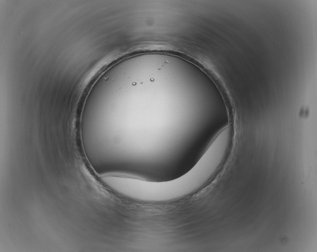 X0000112861181200909041546