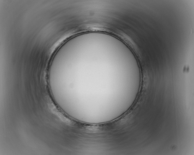 X0000112861182200909041546