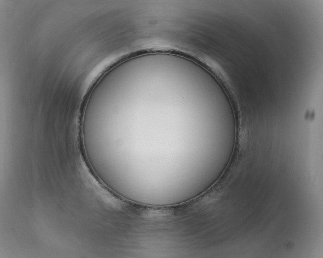X0000112861183200909041546