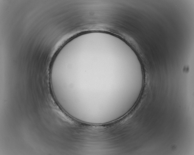 X0000112861184200909041546
