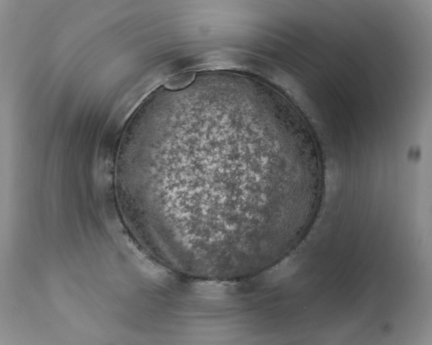 X0000112861185200909041546