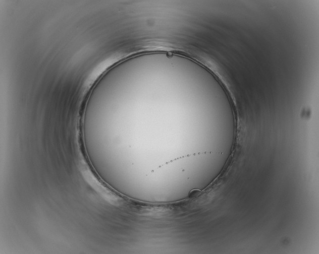 X0000112861187200909041546