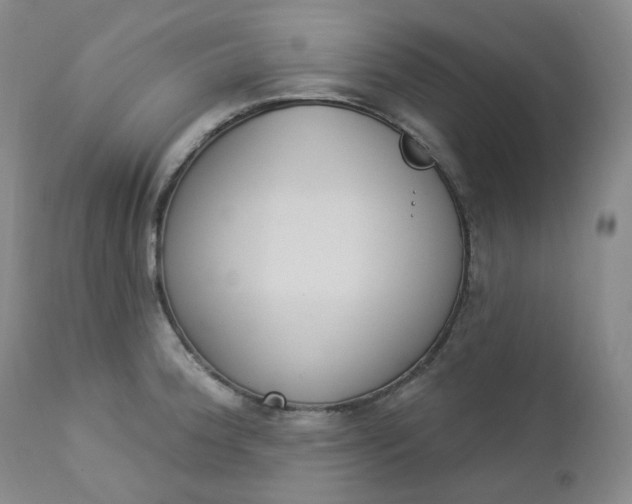 X0000112861188200909041546
