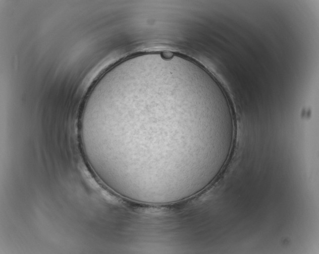 X0000112861189200909041546