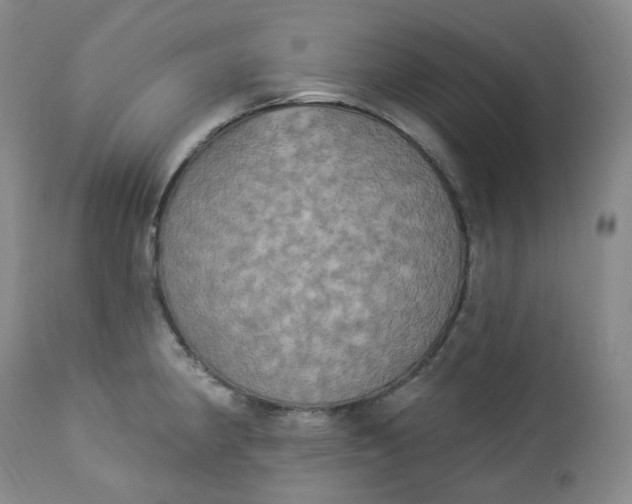 X0000112861190200909041546