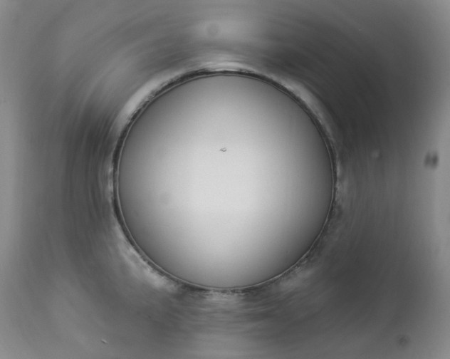 X0000112861191200909041546