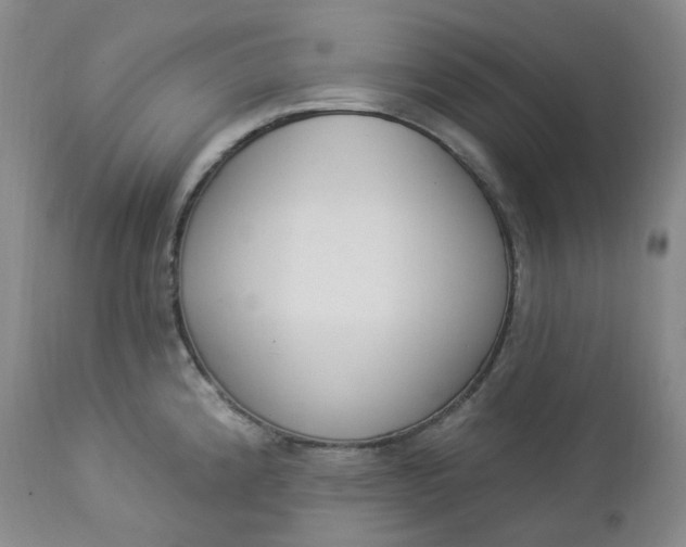 X0000112861192200909041546