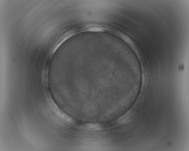 X0000112861194200909041546