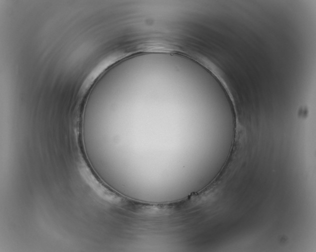 X0000112861195200909041546