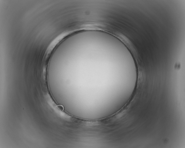 X0000112861196200909041546