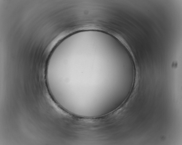 X0000112861197200909041546