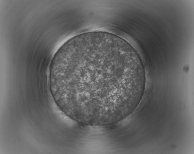 X0000112861198200909041546