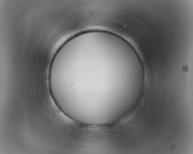 X0000112861199200909041546