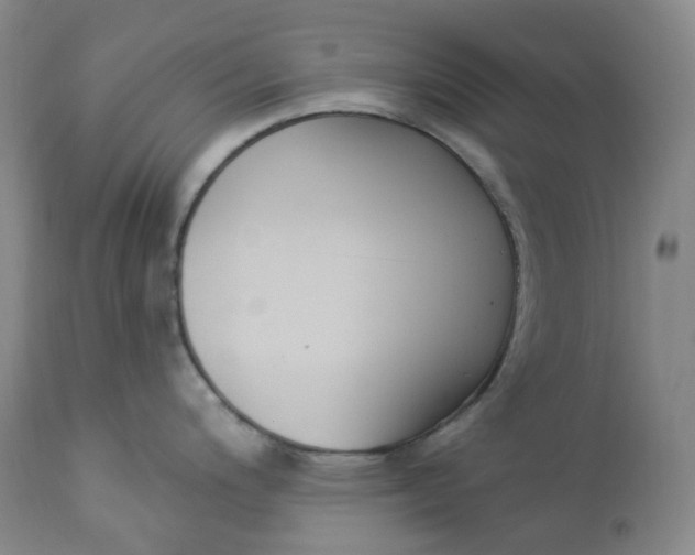 X0000112861200200909041546