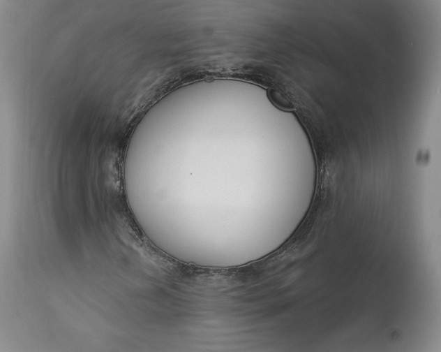 X0000112861202200909041545