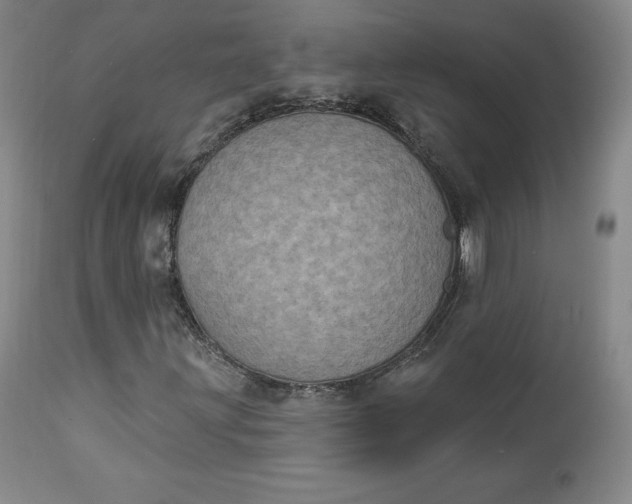 X0000112861203200909041545