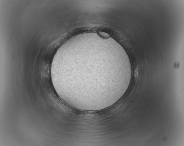 X0000112861204200909041545
