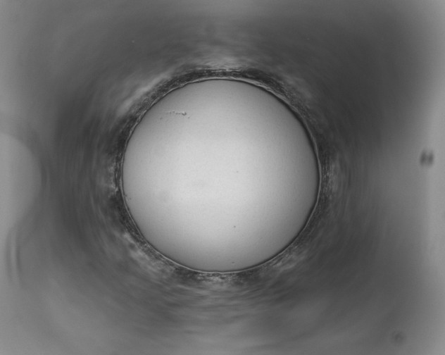 X0000112861205200909041545