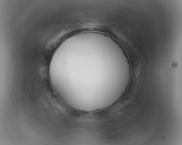 X0000112861206200909041545