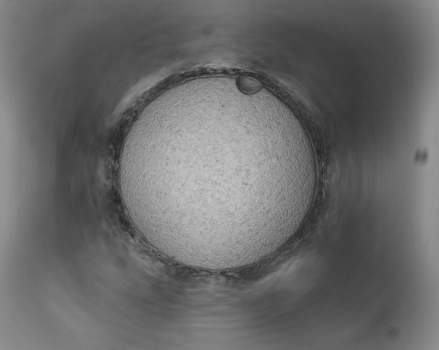 X0000112861207200909041545