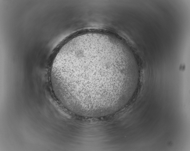 X0000112861208200909041545