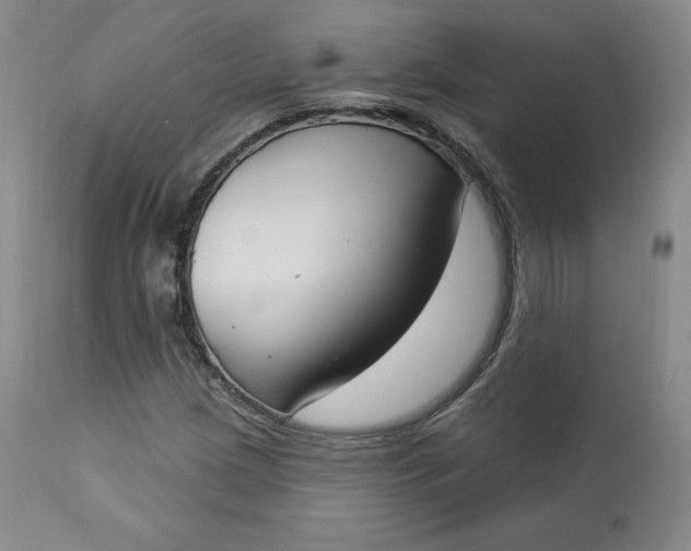 X0000112861209200909041545