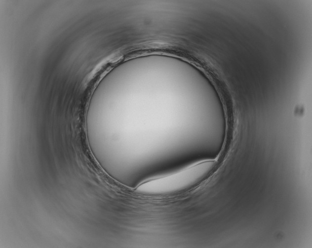 X0000112861210200909041545