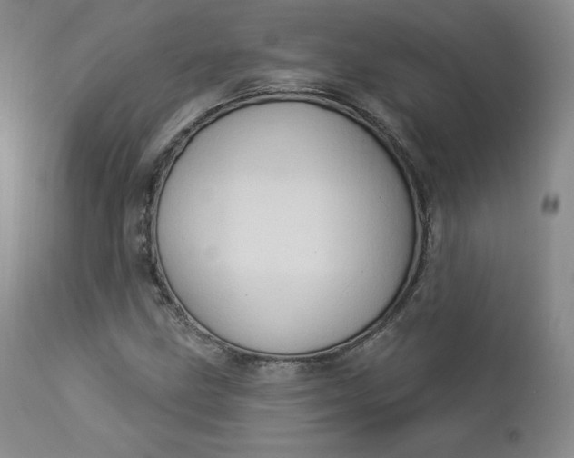 X0000112861211200909041545