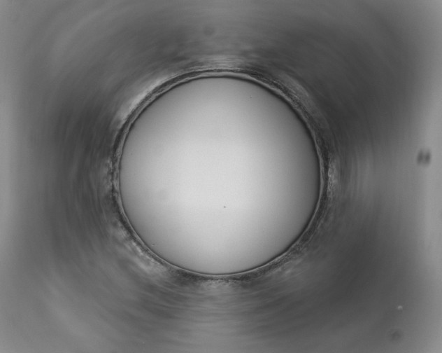 X0000112861212200909041545