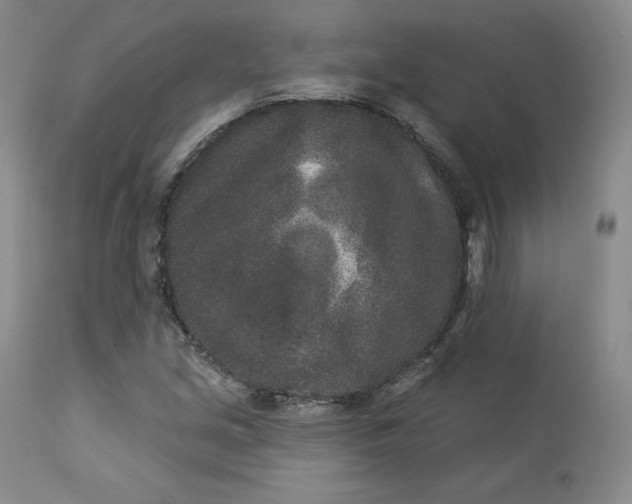 X0000112861213200909041545
