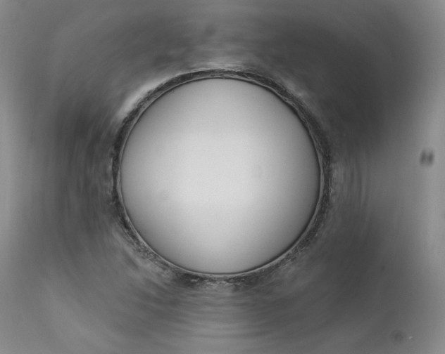 X0000112861214200909041545