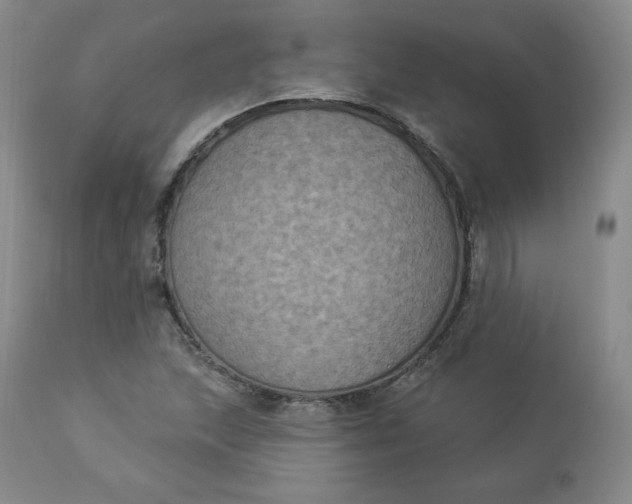 X0000112861215200909041545