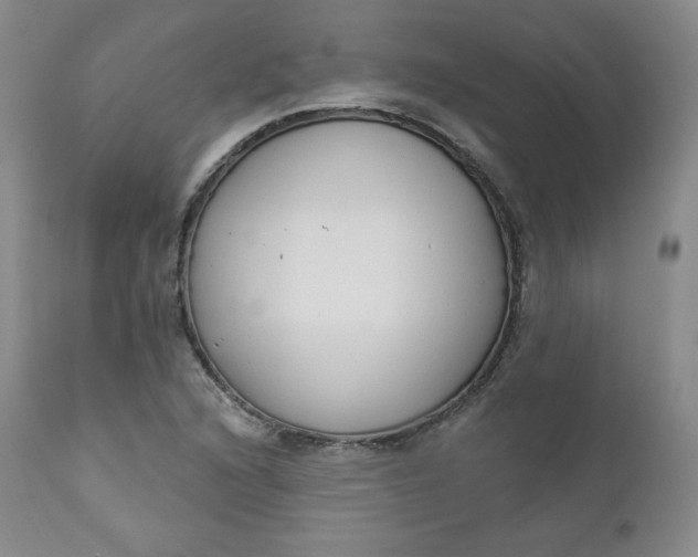 X0000112861216200909041545