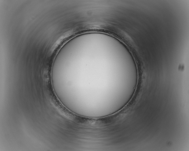 X0000112861218200909041545